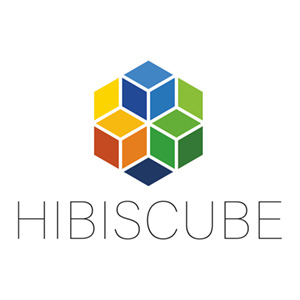 logo résidence hibiscube